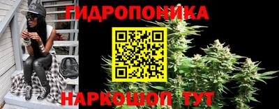 мдпв Обнинск