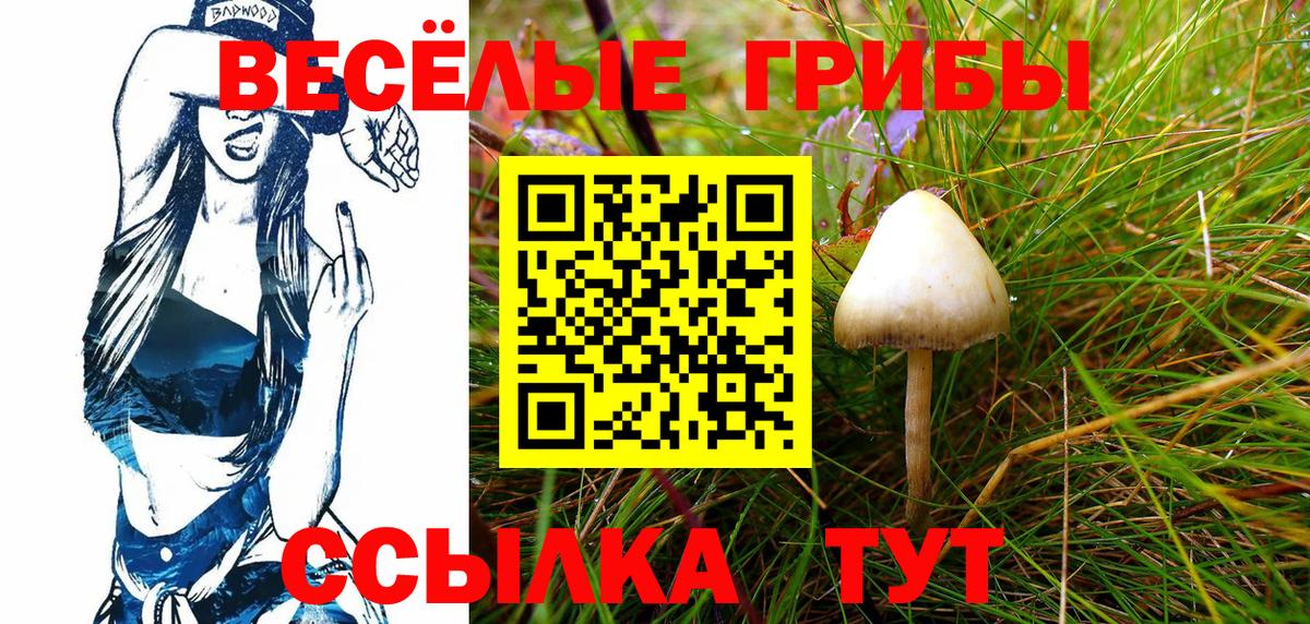 Псилоцибиновые грибы Cubensis  Вход с VPN  Тихвин 
