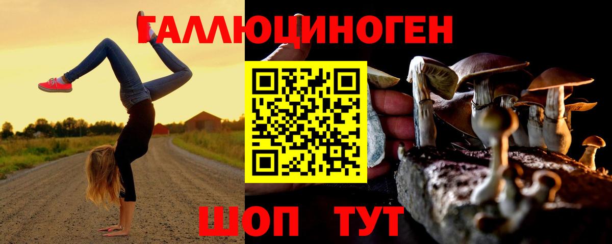 Псилоцибиновые грибы GOLDEN TEACHER Тихвин